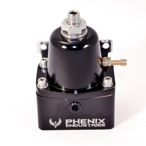 Fuel Pressure Regulator -10 EFI