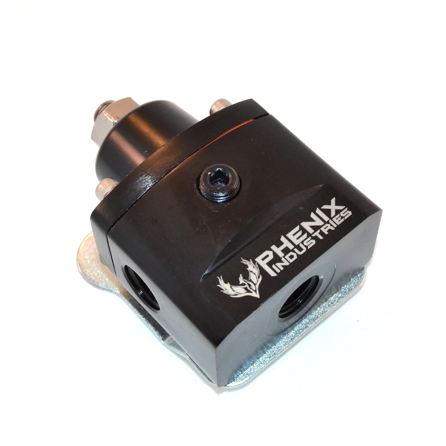Fuel Pressure Regulator -06 Carbureted