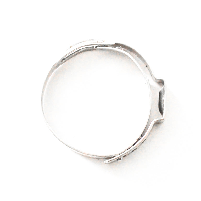 Stainless Safety Clamps -12