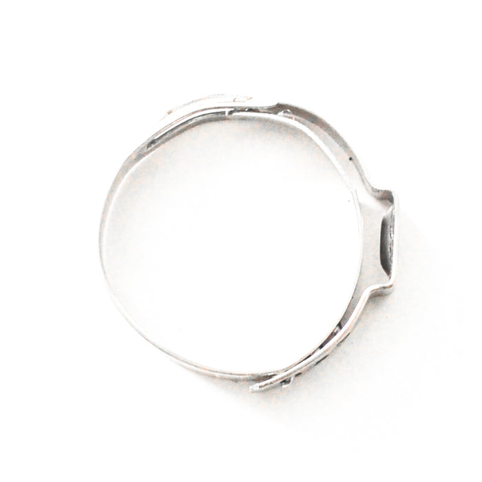 Stainless Safety Clamps -12